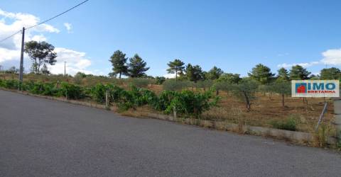 Lote de Terreno Agricola  - Dominguiso