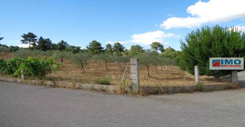 Lote de Terreno Agricola  - Dominguiso