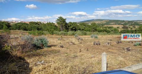 Lote de Terreno Agricola  - Dominguiso