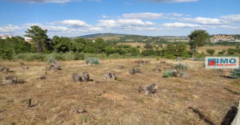 Lote de Terreno Agricola  - Dominguiso