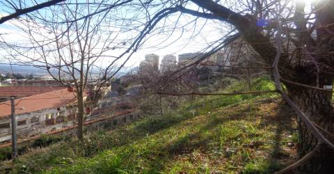 Terreno p/ Construção em Altura - Junto ao Sineiro - Polo IV