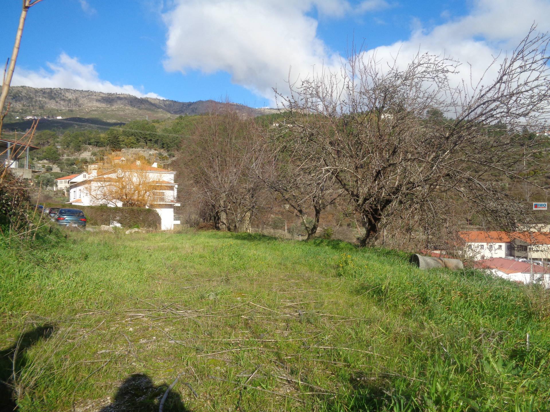 Terreno p/ Construção em Altura - Junto ao Sineiro - Polo IV