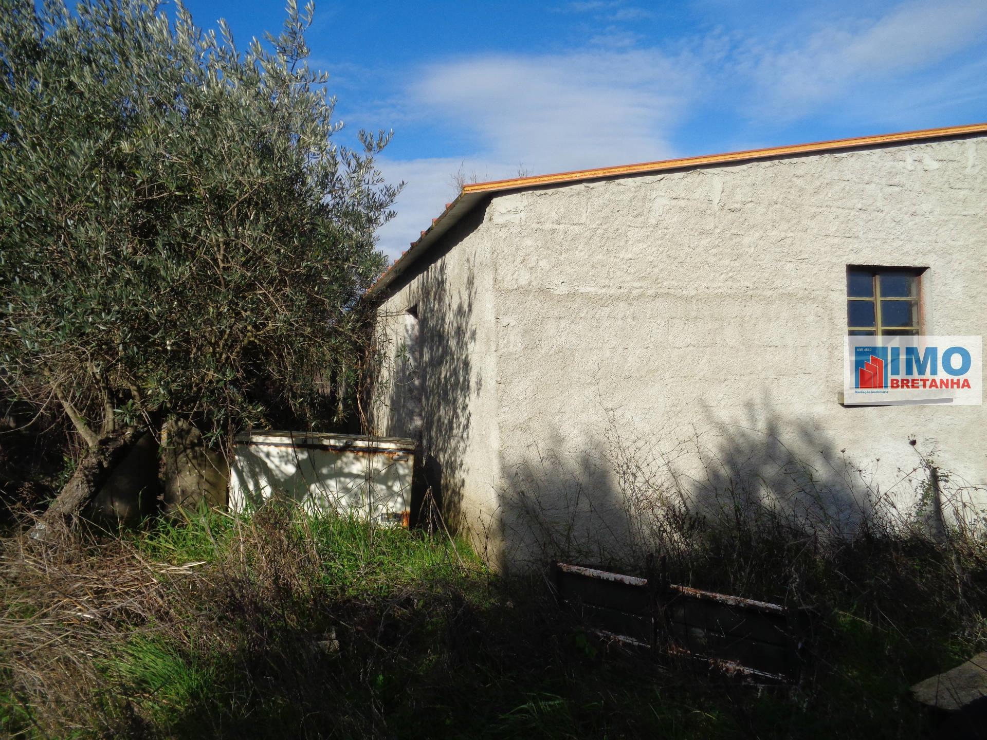 Quinta - Zona de Alcaria - Fundão