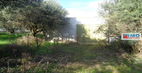 Quinta - Zona de Alcaria - Fundão