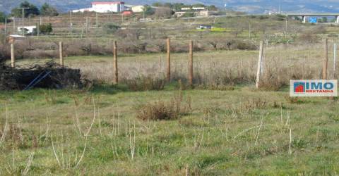 Quinta - Zona de Alcaria - Fundão