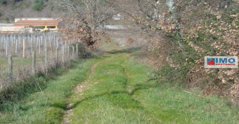 Quinta - Zona de Alcaria - Fundão