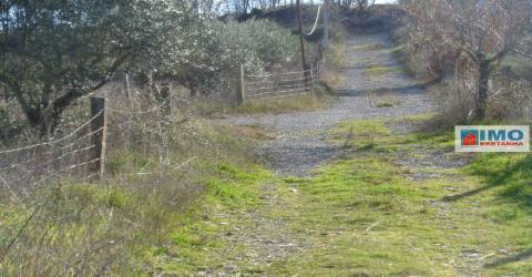 Quinta - Zona de Alcaria - Fundão