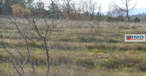 Quinta - Zona de Alcaria - Fundão