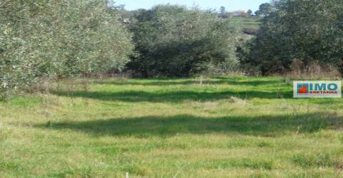 Quinta - Zona de Alcaria - Fundão