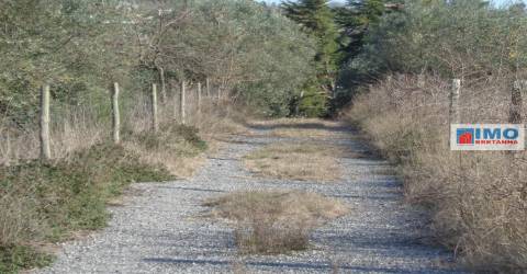 Quinta - Zona de Alcaria - Fundão