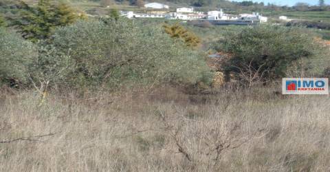 Quinta - Zona de Alcaria - Fundão