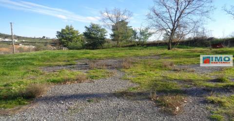 Quinta - Zona de Alcaria - Fundão