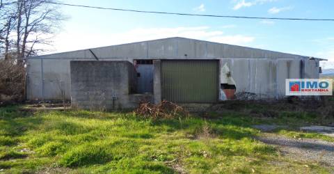 Quinta - Zona de Alcaria - Fundão