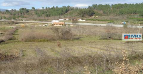 Quinta - Zona de Alcaria - Fundão