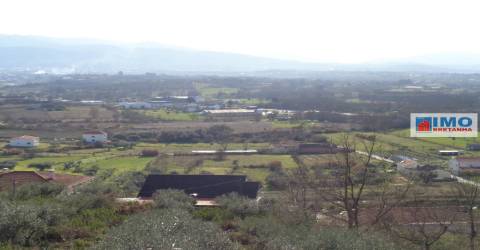 Quinta - Zona de Alcaria - Fundão