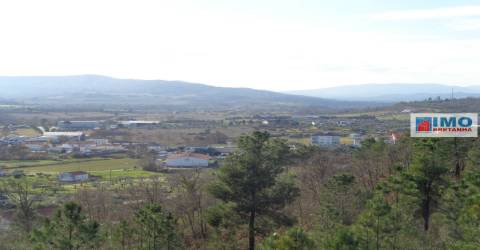 Quinta - Zona de Alcaria - Fundão