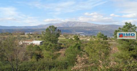 Quinta - Zona de Alcaria - Fundão