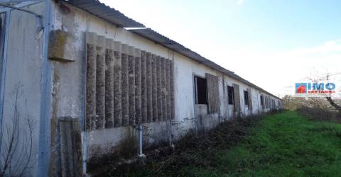 Quinta - Zona de Alcaria - Fundão