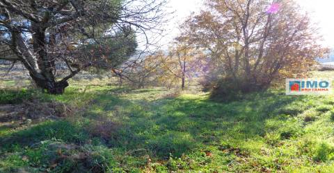 Terreno - Zona do Teixoso
