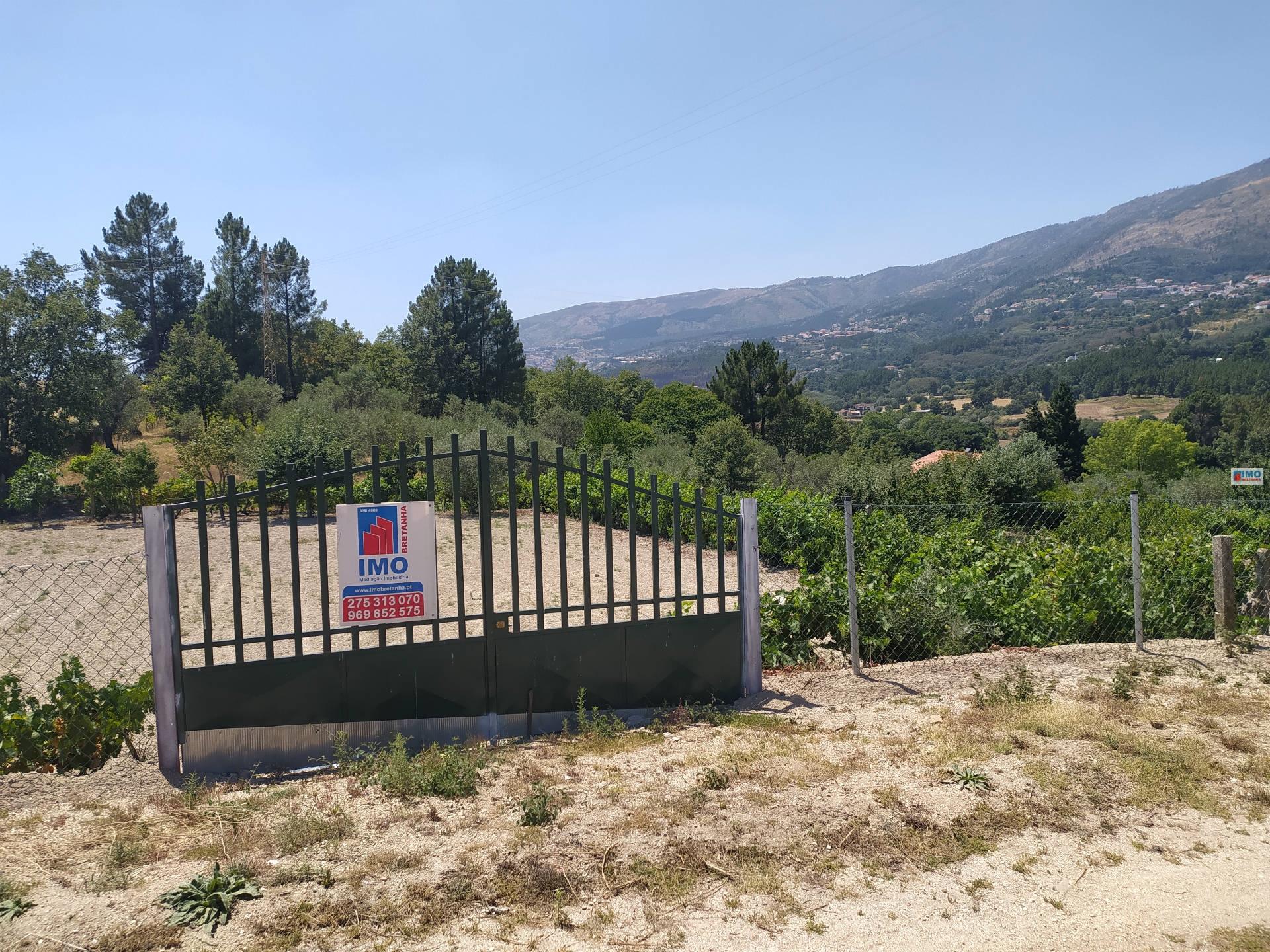 Quinta / Lote Terreno - Teixoso