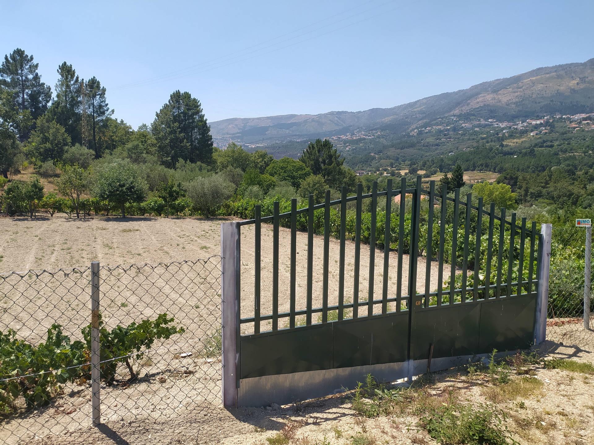 Quinta / Lote Terreno - Teixoso