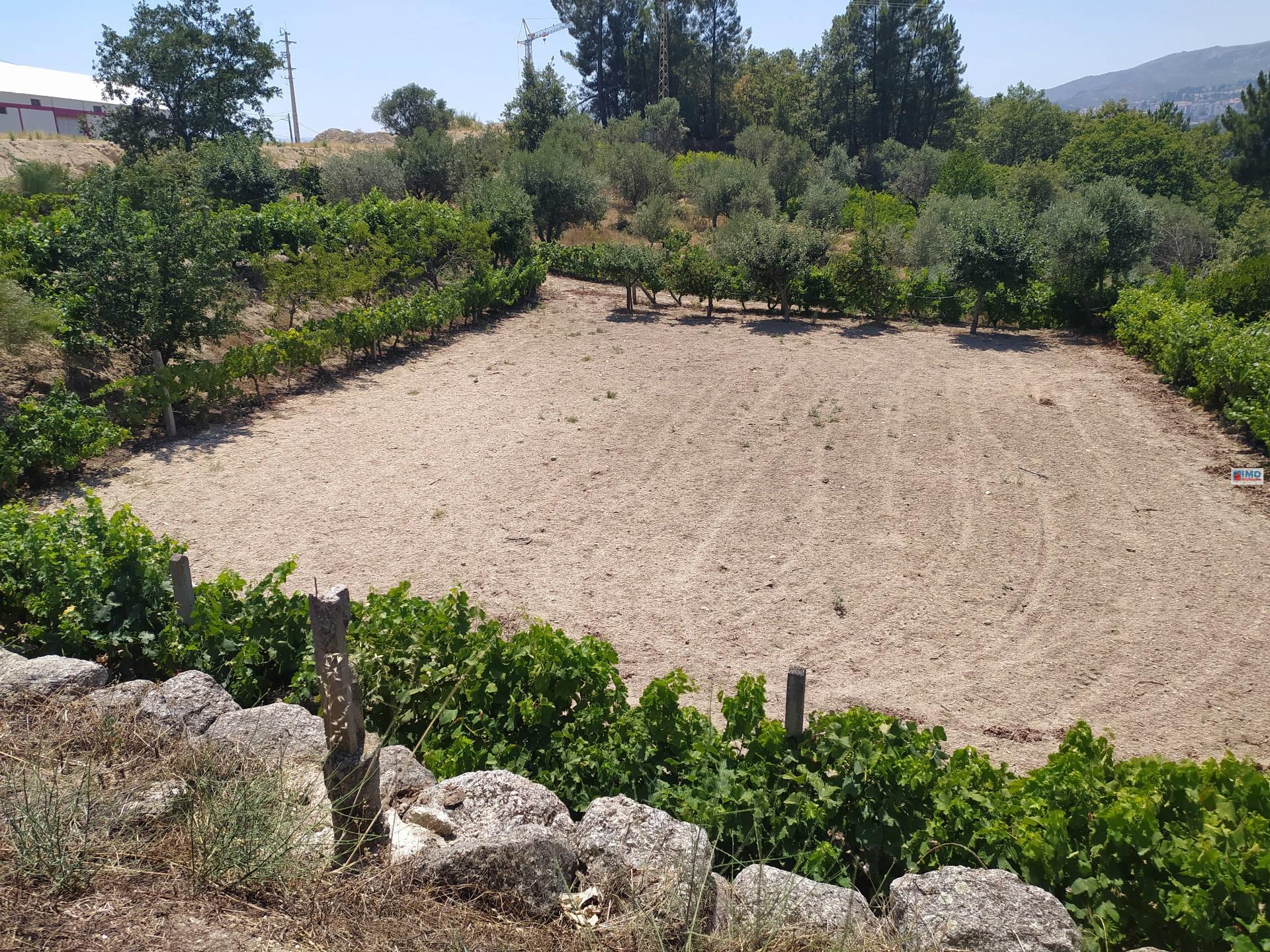 Quinta / Lote Terreno - Teixoso