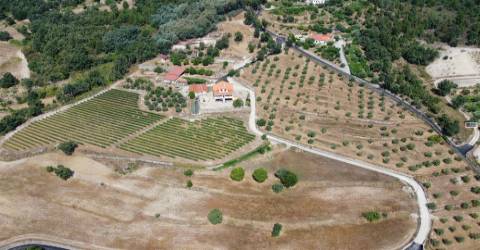 Quinta  c/ 5,36ha  e c/ Moradia V4  - Teixoso - 10 min da Covilhã