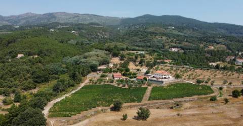 Quinta  c/ 5,36ha  e c/ Moradia V4  - Teixoso - 10 min da Covilhã