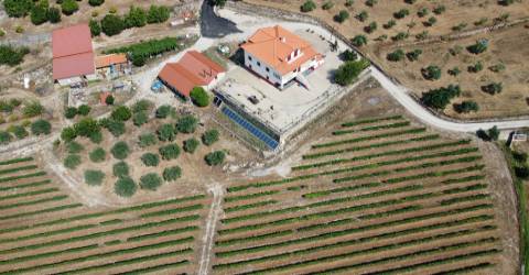 Quinta  c/ 5,36ha  e c/ Moradia V4  - Teixoso - 10 min da Covilhã