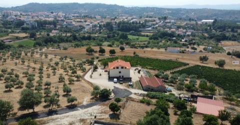 Quinta  c/ 5,36ha  e c/ Moradia V4  - Teixoso - 10 min da Covilhã