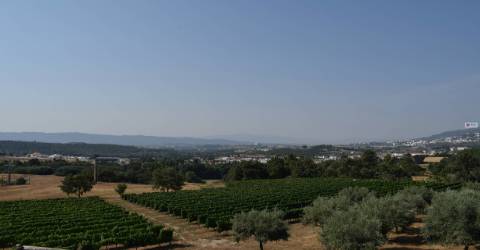 Quinta  c/ 5,36ha  e c/ Moradia V4  - Teixoso - 10 min da Covilhã