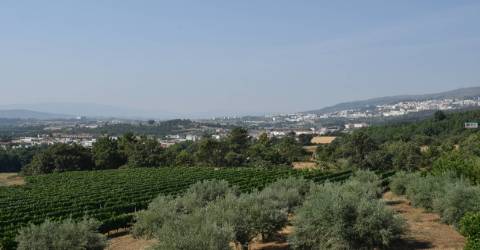 Quinta  c/ 5,36ha  e c/ Moradia V4  - Teixoso - 10 min da Covilhã