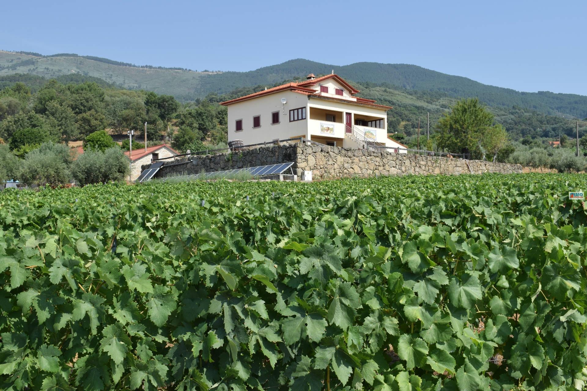 Quinta  c/ 5,36ha  e c/ Moradia V4  - Teixoso - 10 min da Covilhã