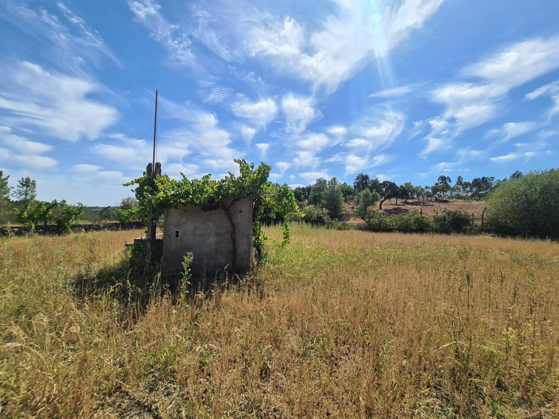 Quinta em Maxiais