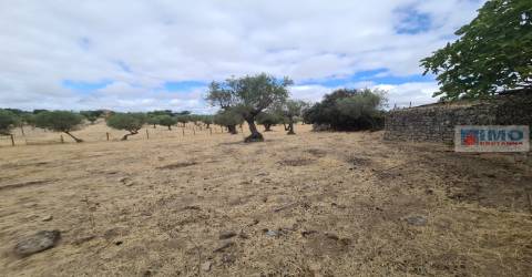 Armazém em Escalos de Cima