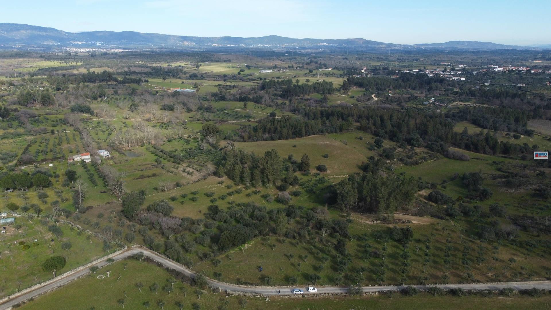 Quinta na Lardosa