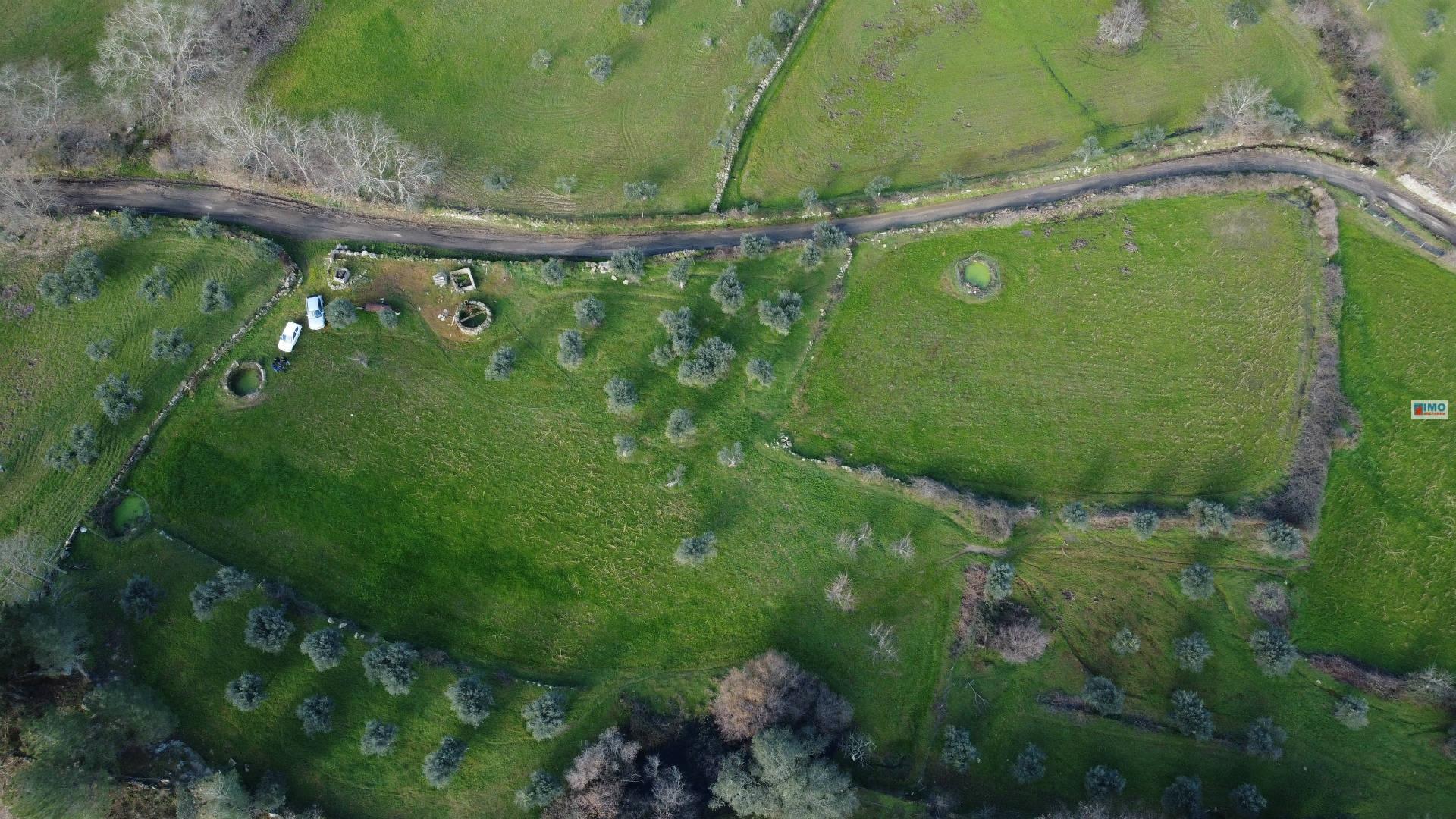 Quinta em Vale da Torre - Lardosa