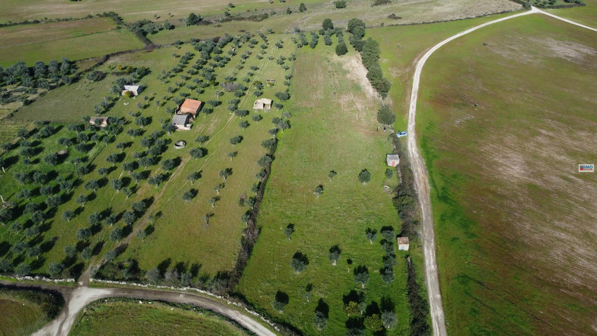 Quinta Zona da Lardosa