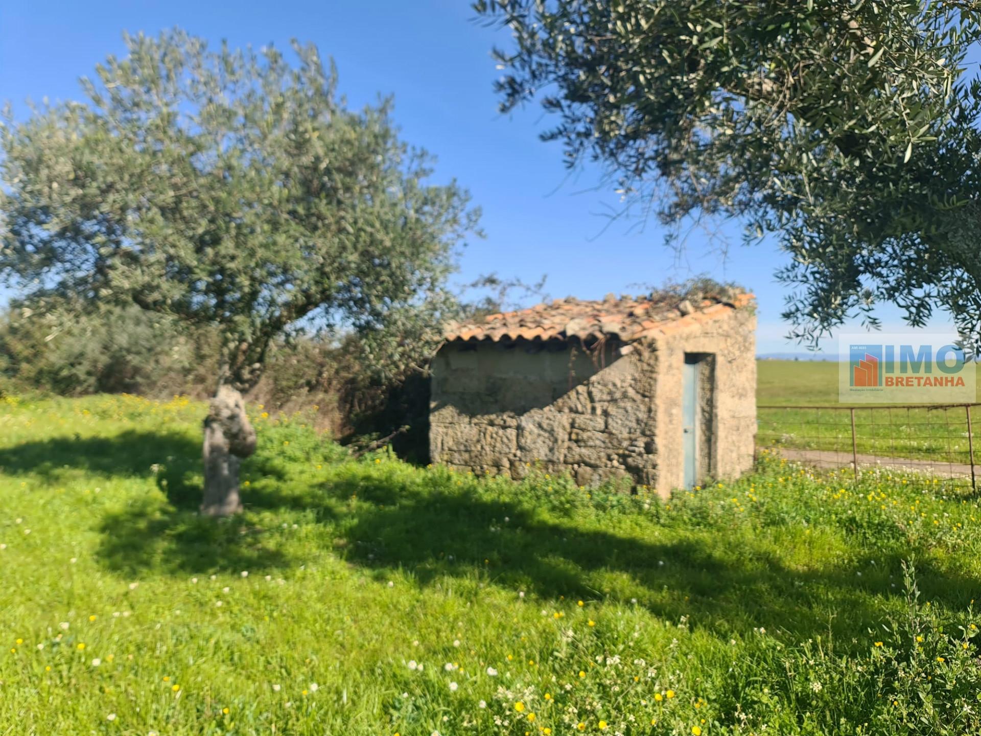 Quinta Zona da Lardosa