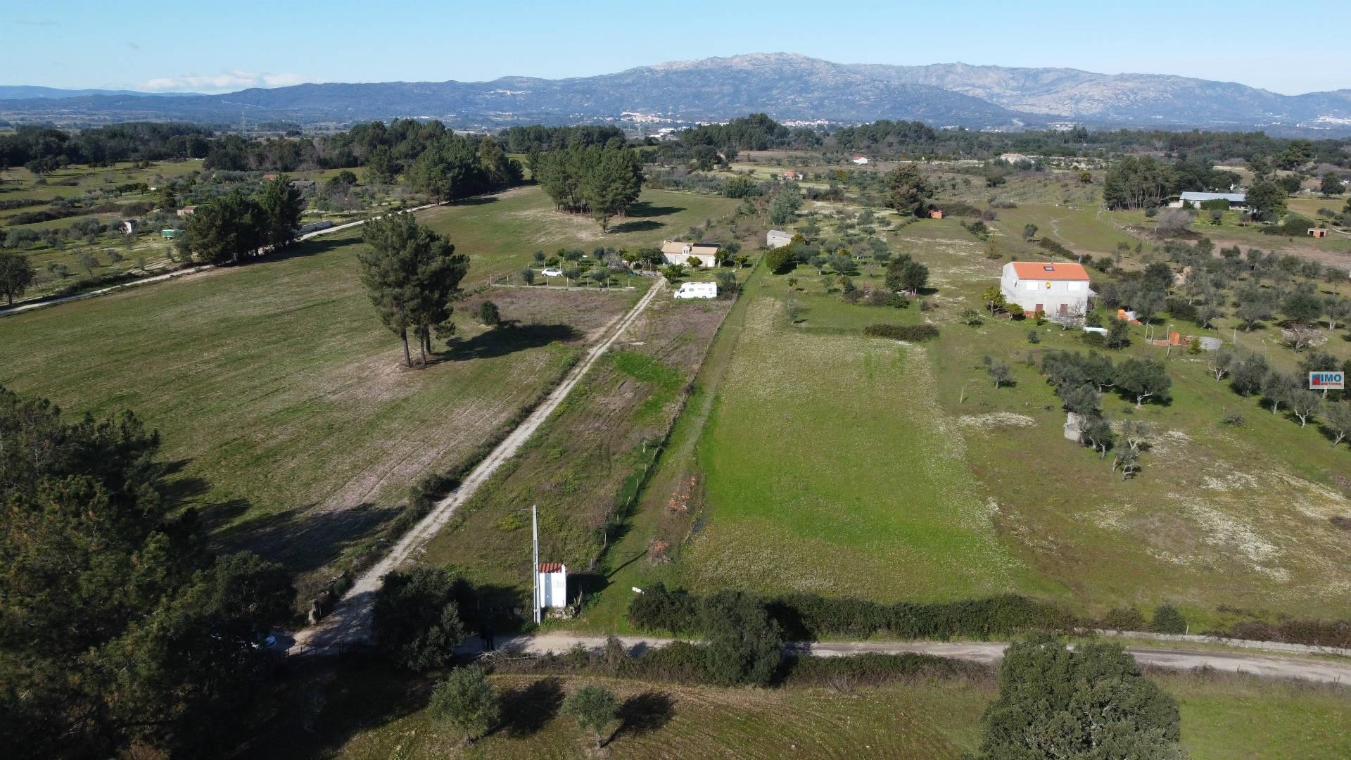 Quinta na Lardosa - Castelo Branco