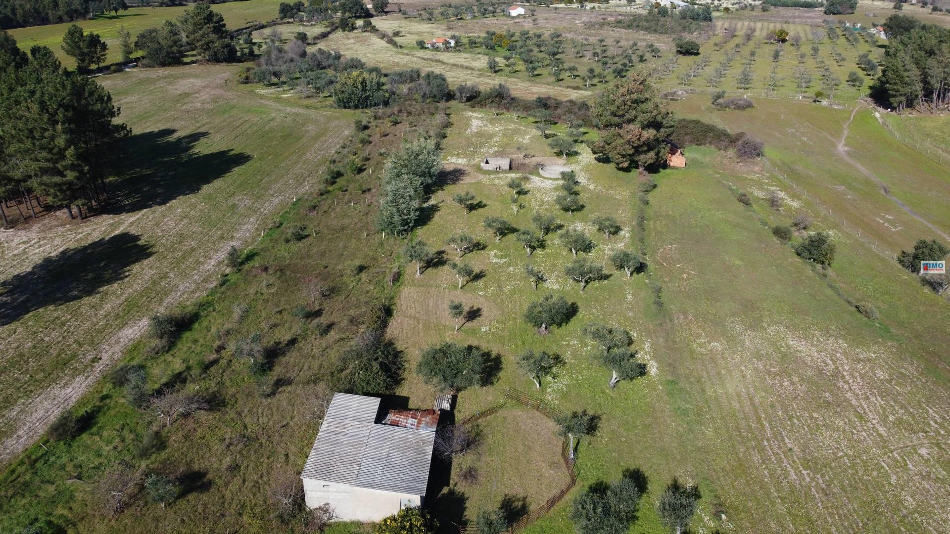 Quinta na Lardosa - Castelo Branco