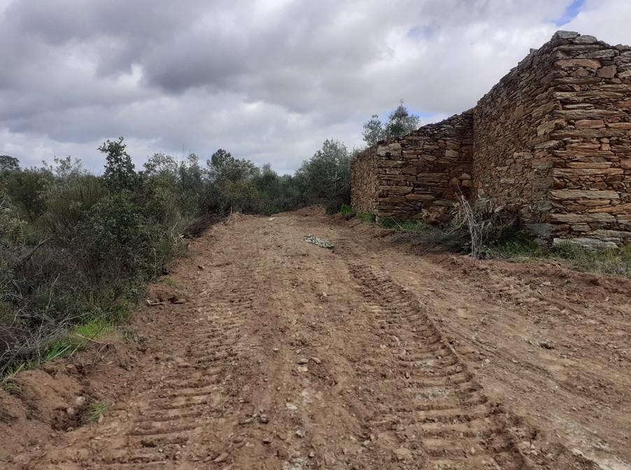 Quinta em Belgais c/  área de construção