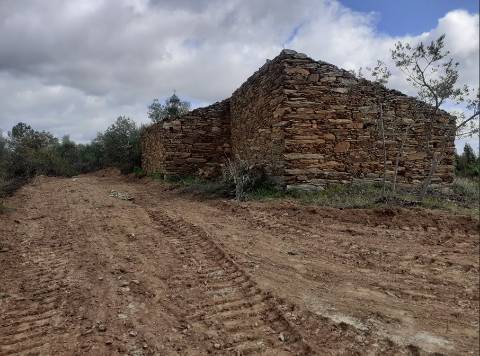 Quinta em Belgais c/  área de construção