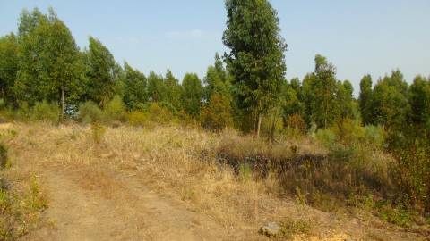 Quinta em Belgais c/  área de construção