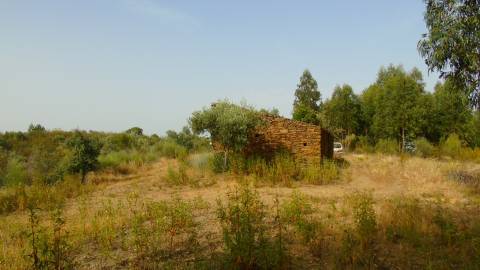 Quinta em Belgais c/  área de construção