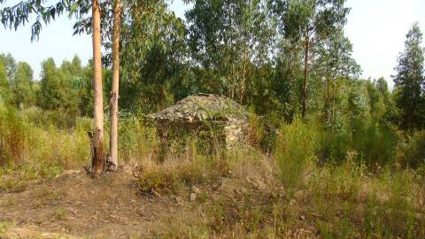 Quinta em Belgais c/  área de construção