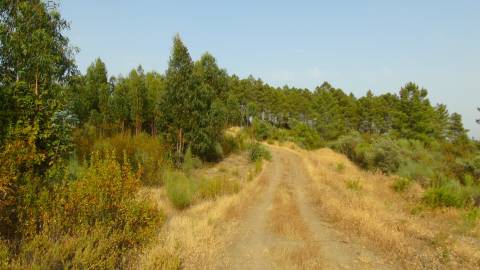 Quinta em Belgais c/  área de construção