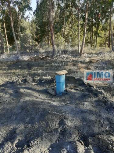 Quinta em Belgais c/  área de construção