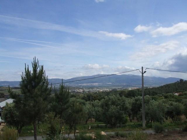 Terreno  Venda em Tortosendo,Covilhã