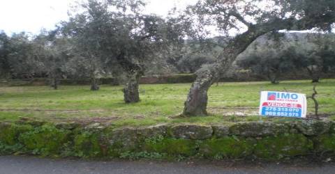 Terreno  Venda em Ferro,Covilhã